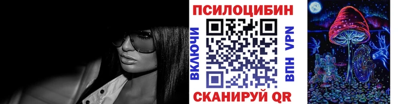 Купить где  Александровск-Сахалинский  Псилоцибиновые грибы MAGIC MUSHROOMS 